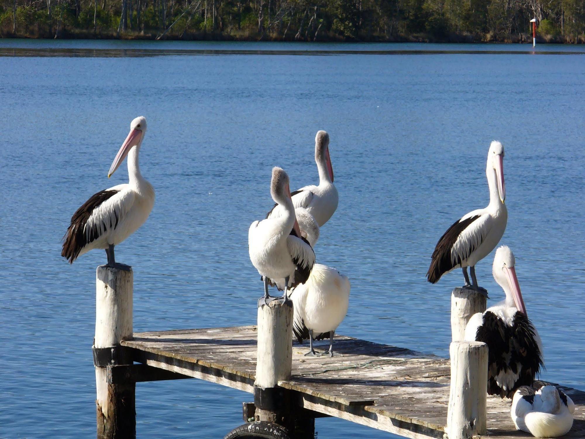 Huskisson Beach Motel Eksteriør bilde